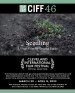 Seedling