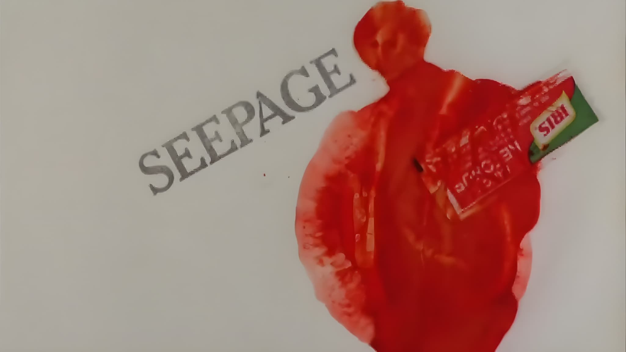 Foto de SEEPAGE