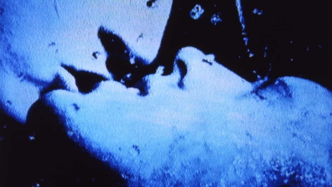 Foto de SELF-PORTRAIT IN 23 ROUNDS: A CHAPTER IN DAVID WOJNAROWICZ&APOS;S LIFE, 1989-1991
