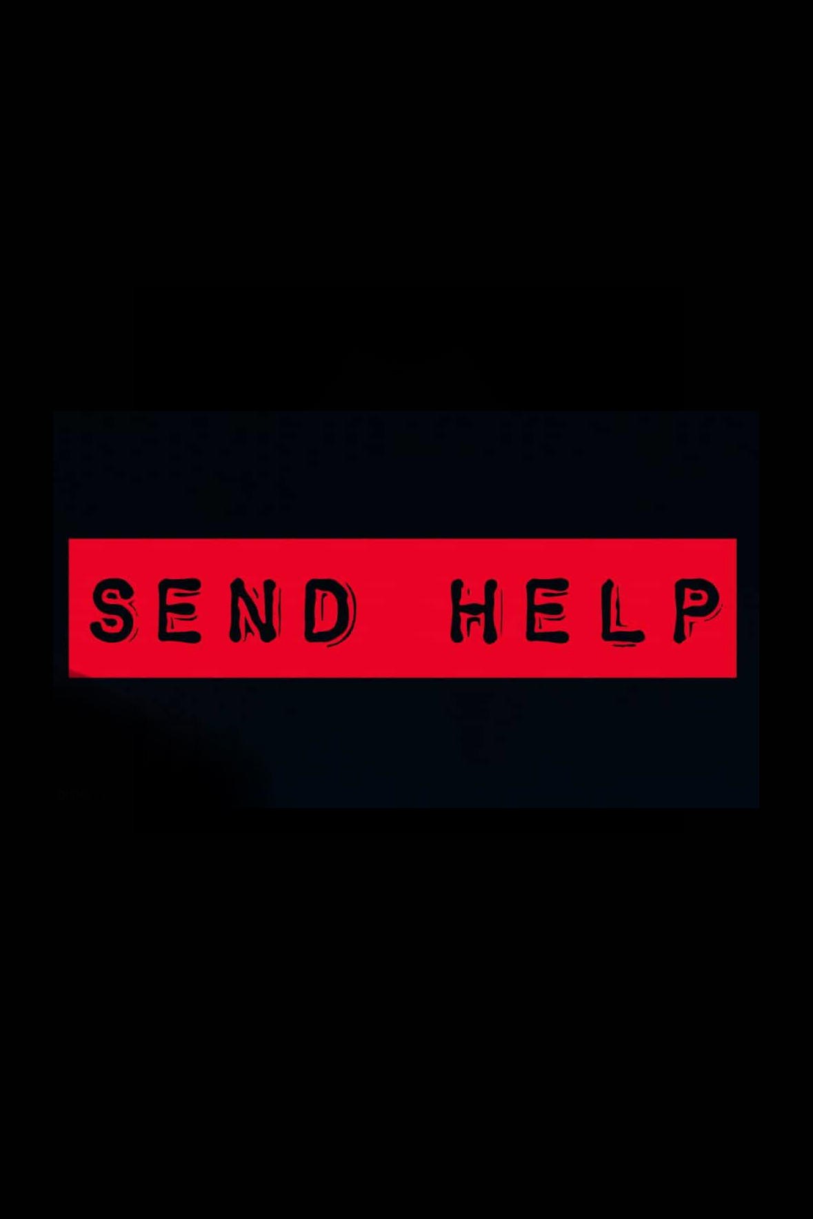 Poster de SEND HELP