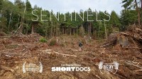Sentinels