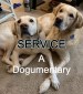 Service: A Dog-umentary