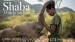 Shaba