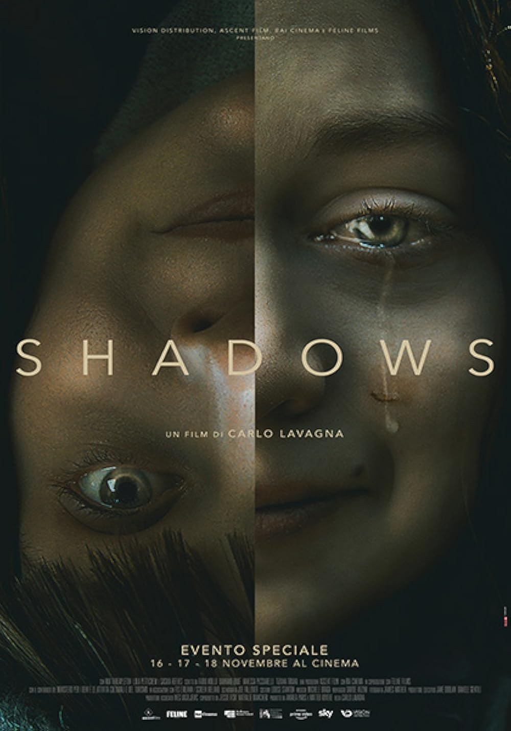 Poster de SHADOWS