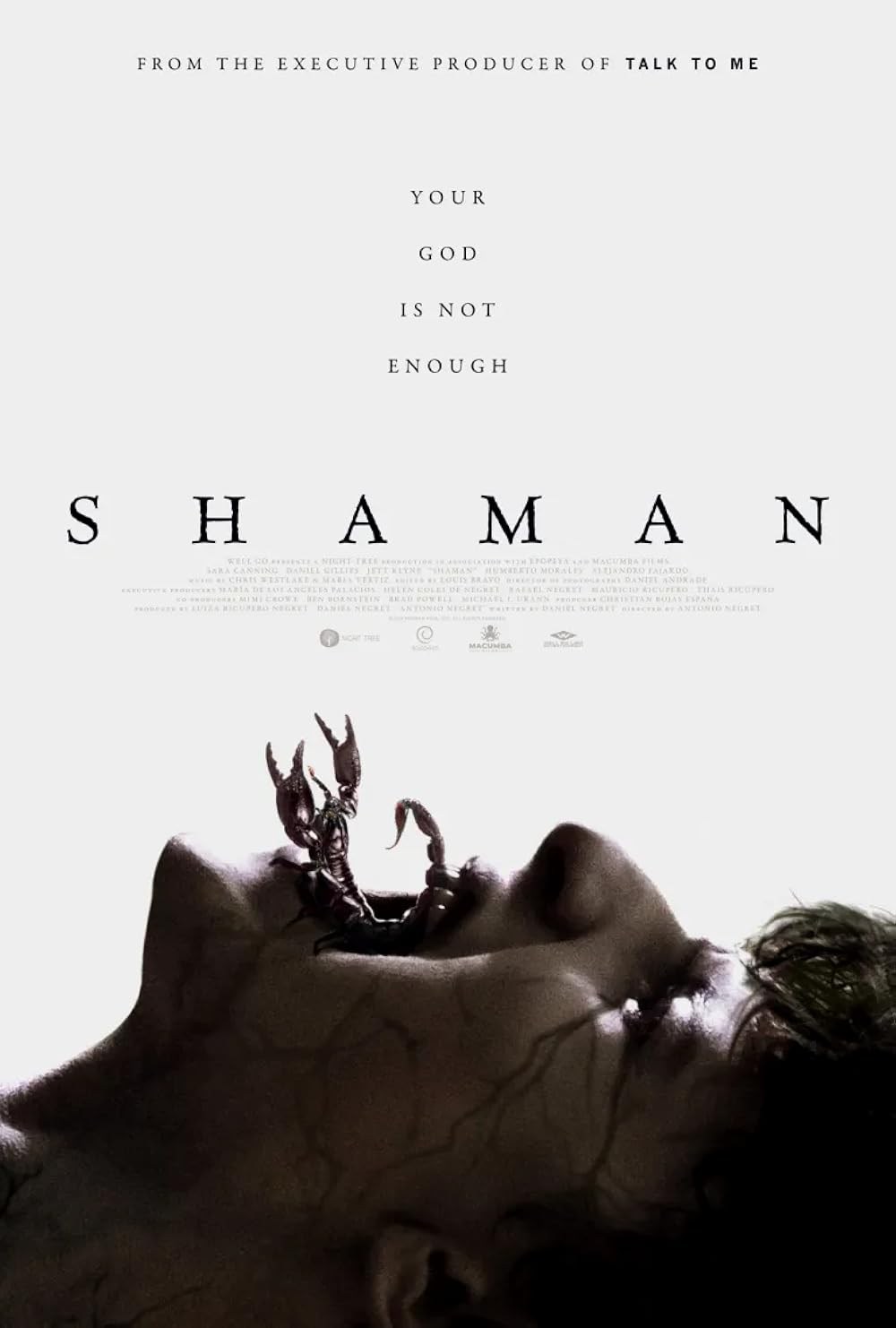 Poster de SHAMAN