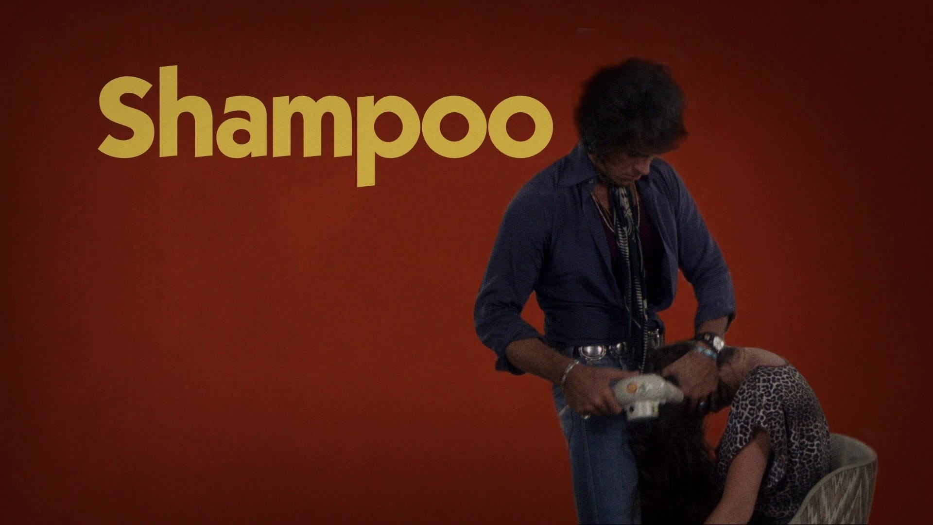 Foto de SHAMPOO