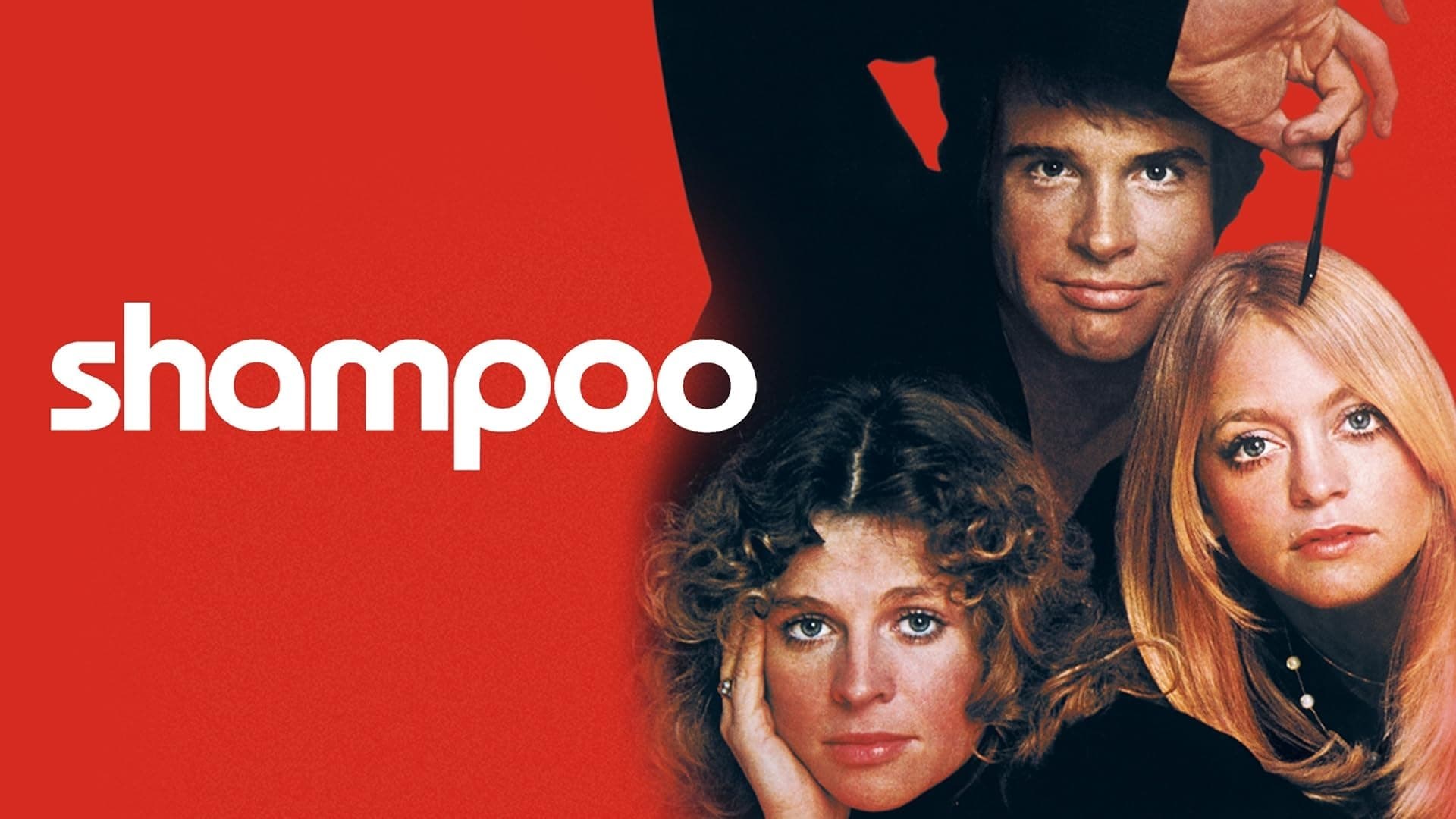 Foto de SHAMPOO