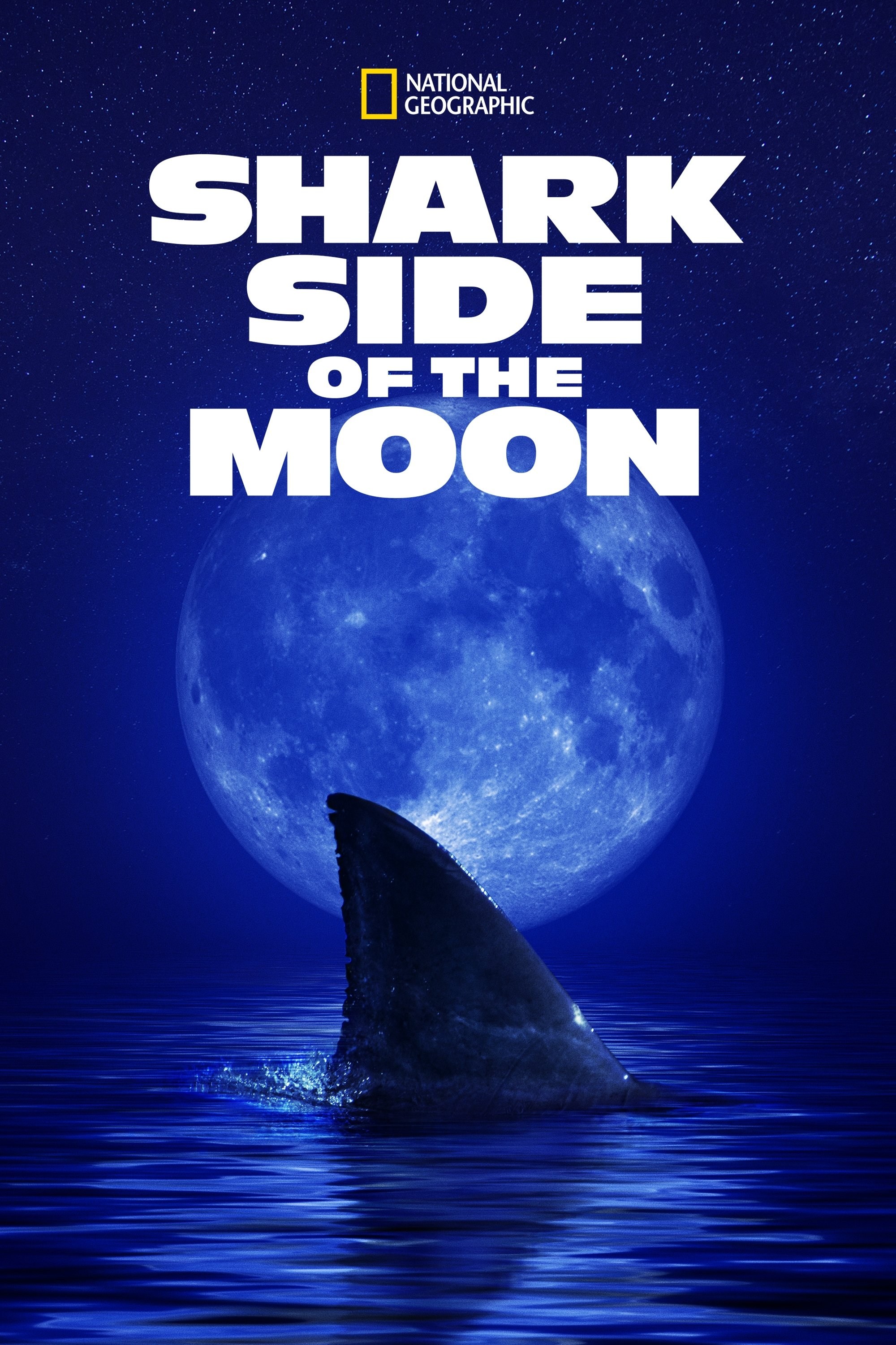 Poster de SHARK SIDE OF THE MOON en inglés
