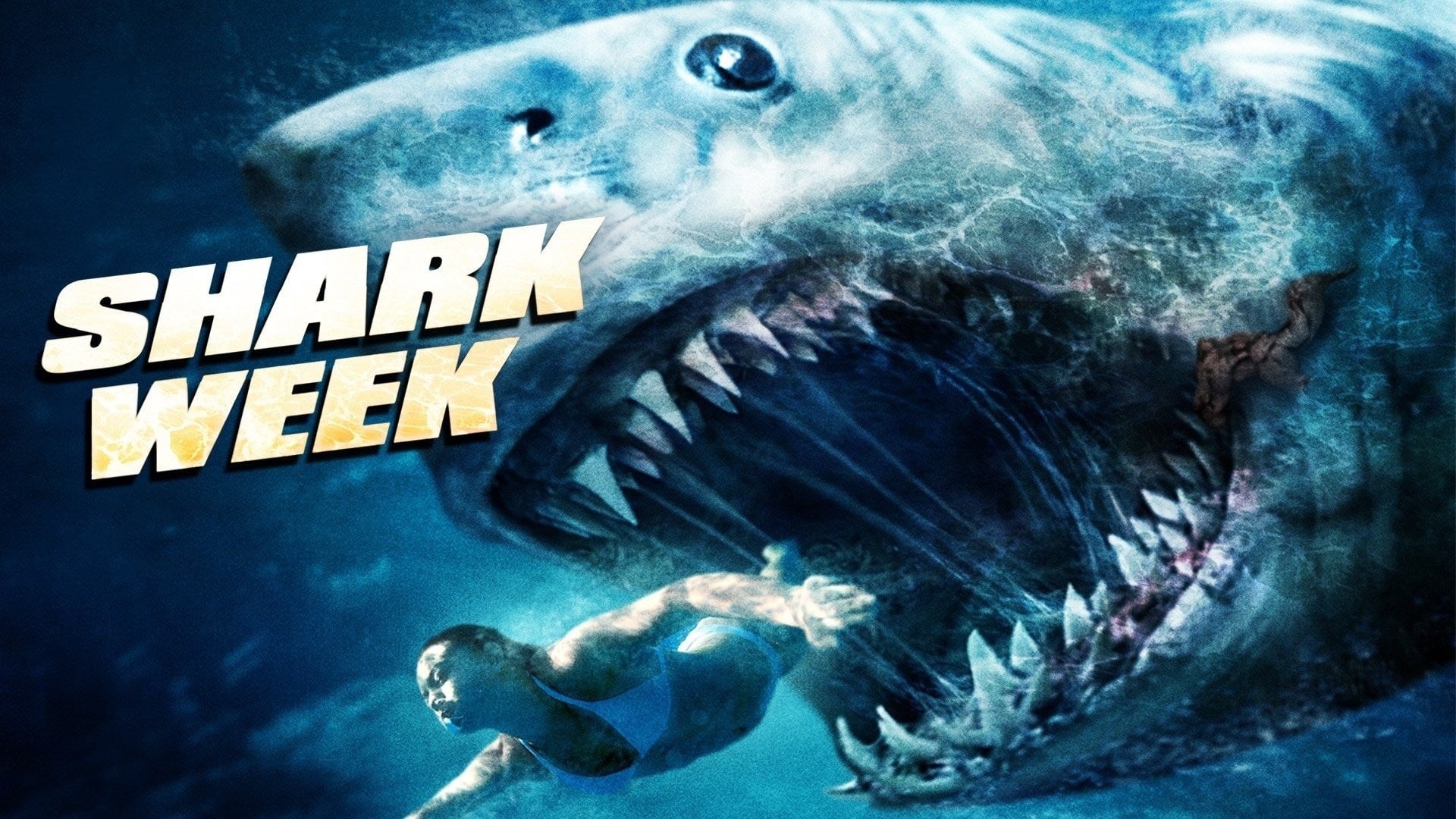 Foto de SHARK WEEK
