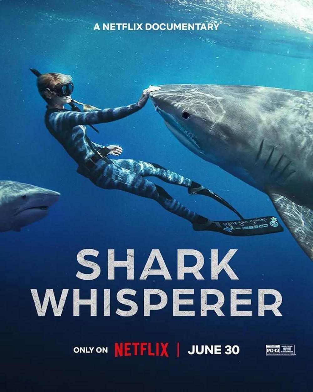 Poster de SHARK WHISPERER