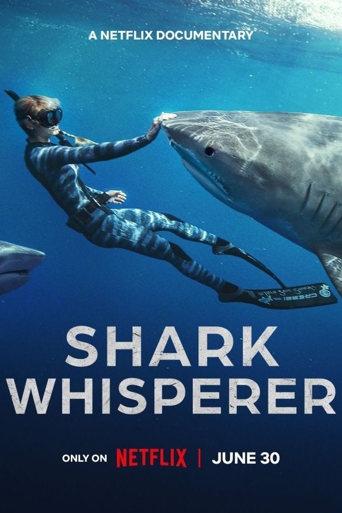 Poster de SHARK WHISPERER en inglés