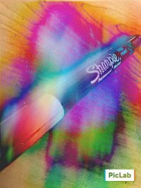 Sharpie: A Story About Permanence