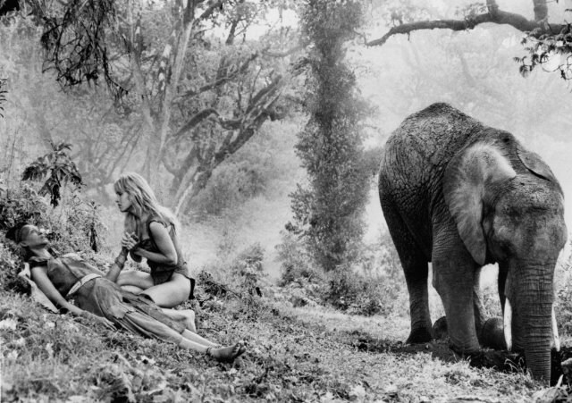 Foto de SHEENA, REINA DE LA SELVA