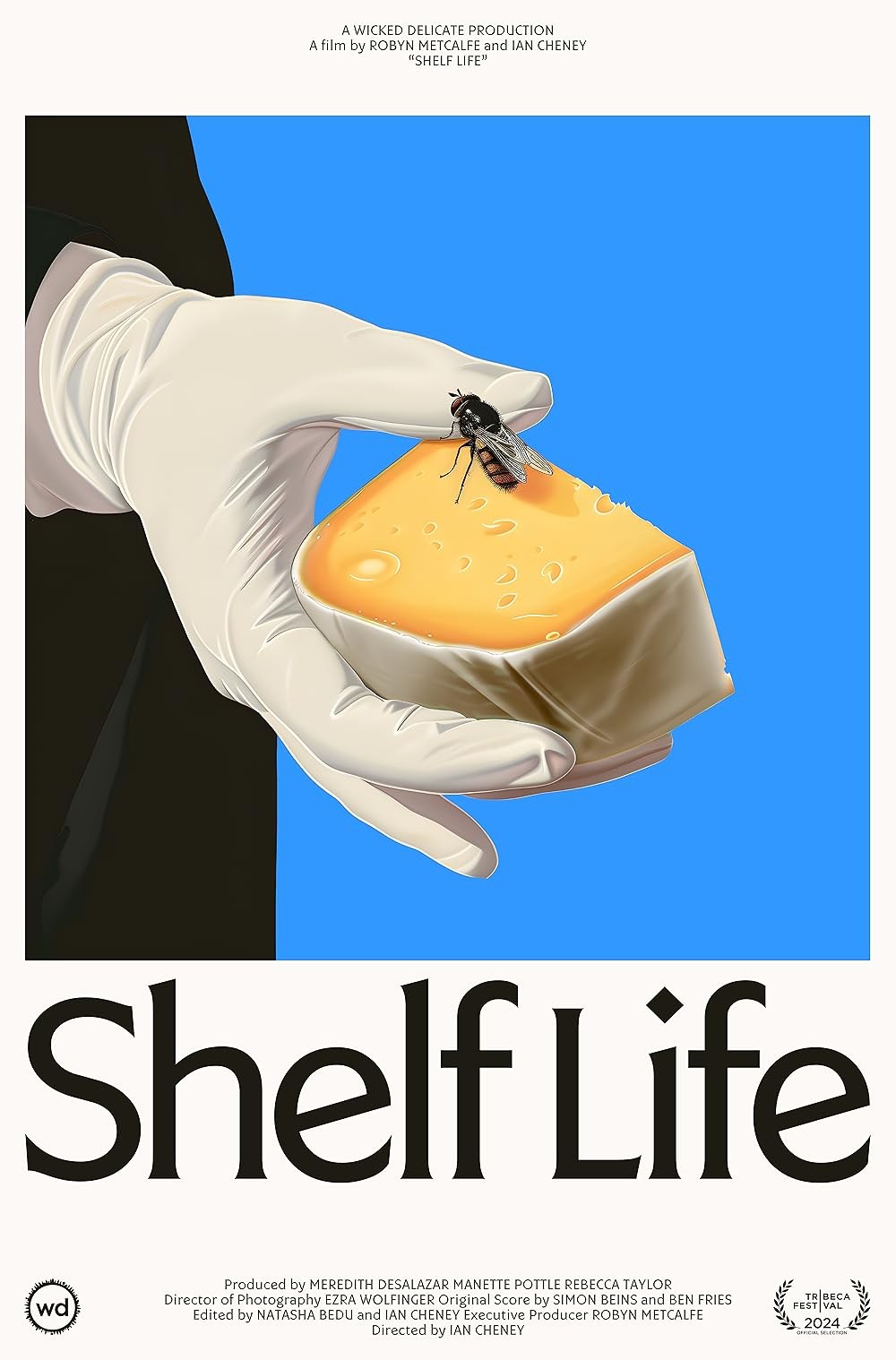 Poster de SHELF LIFE