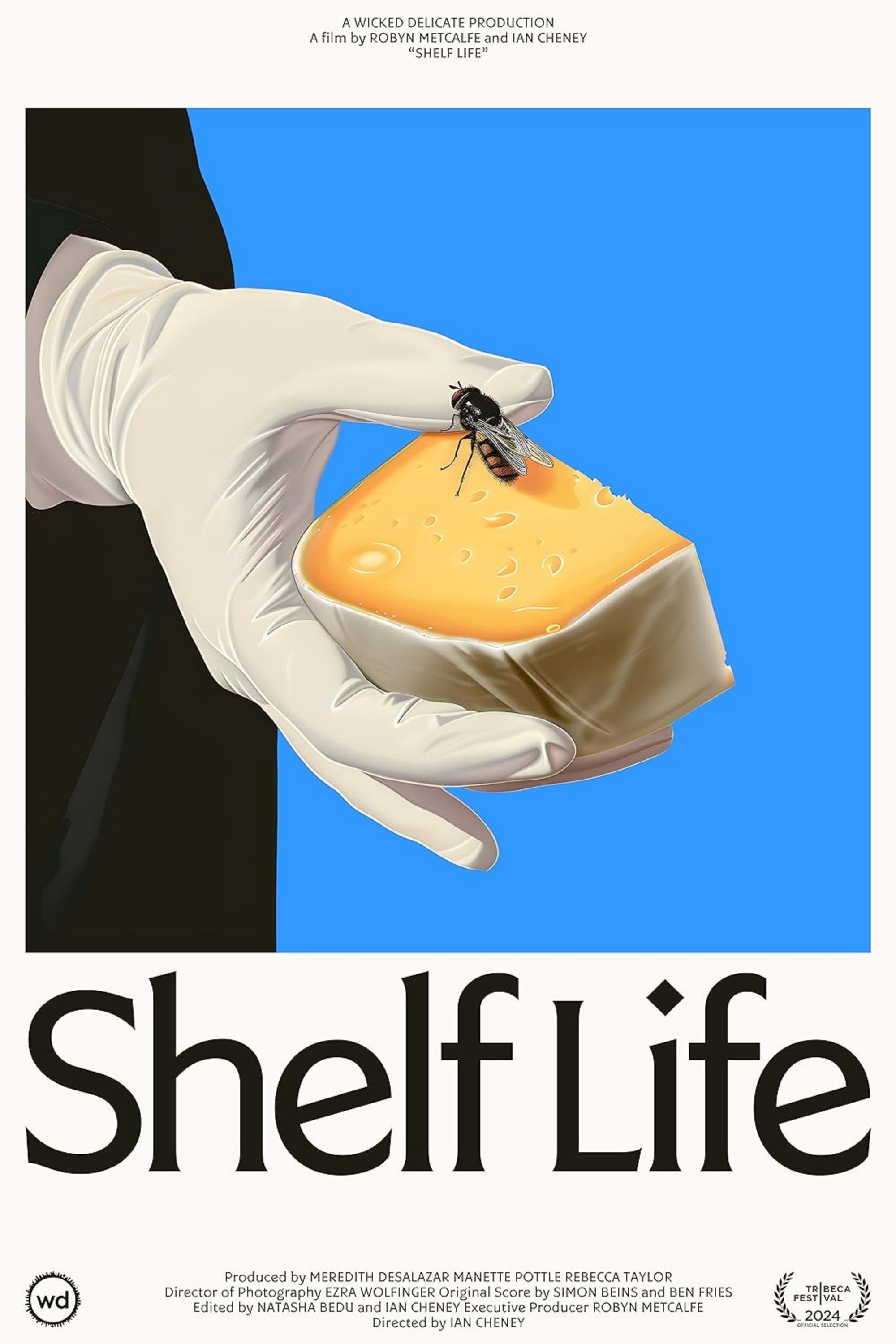Poster de SHELF LIFE
