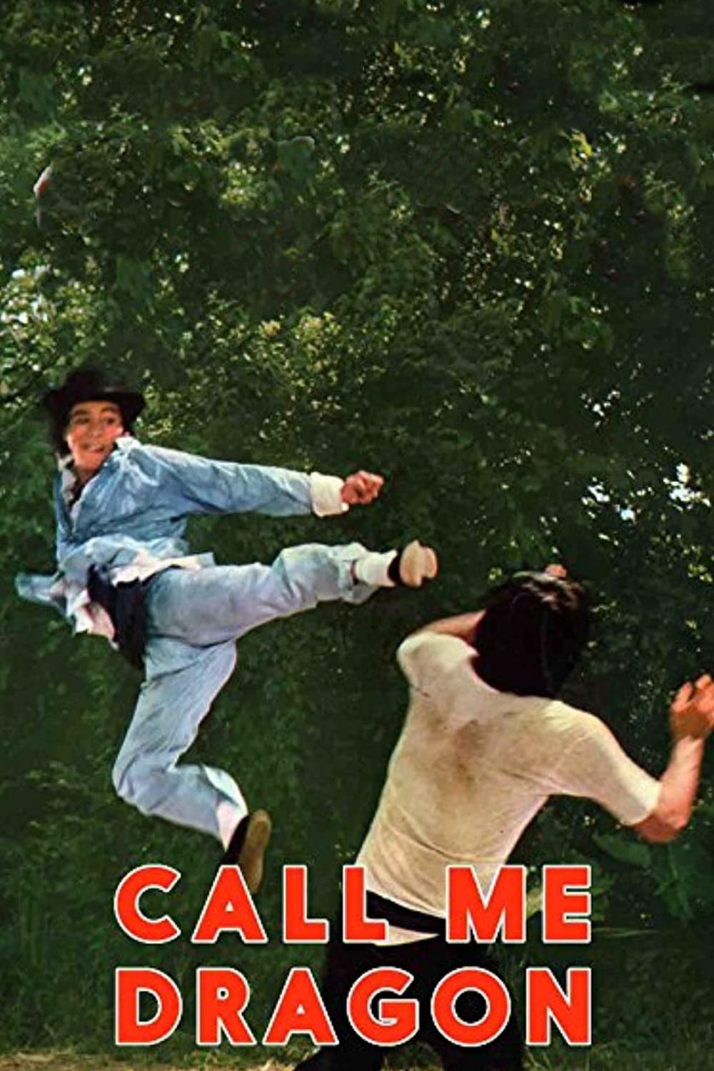 Poster de SHEN LONG XIAO HU CHUANG JIANG HU en inglés