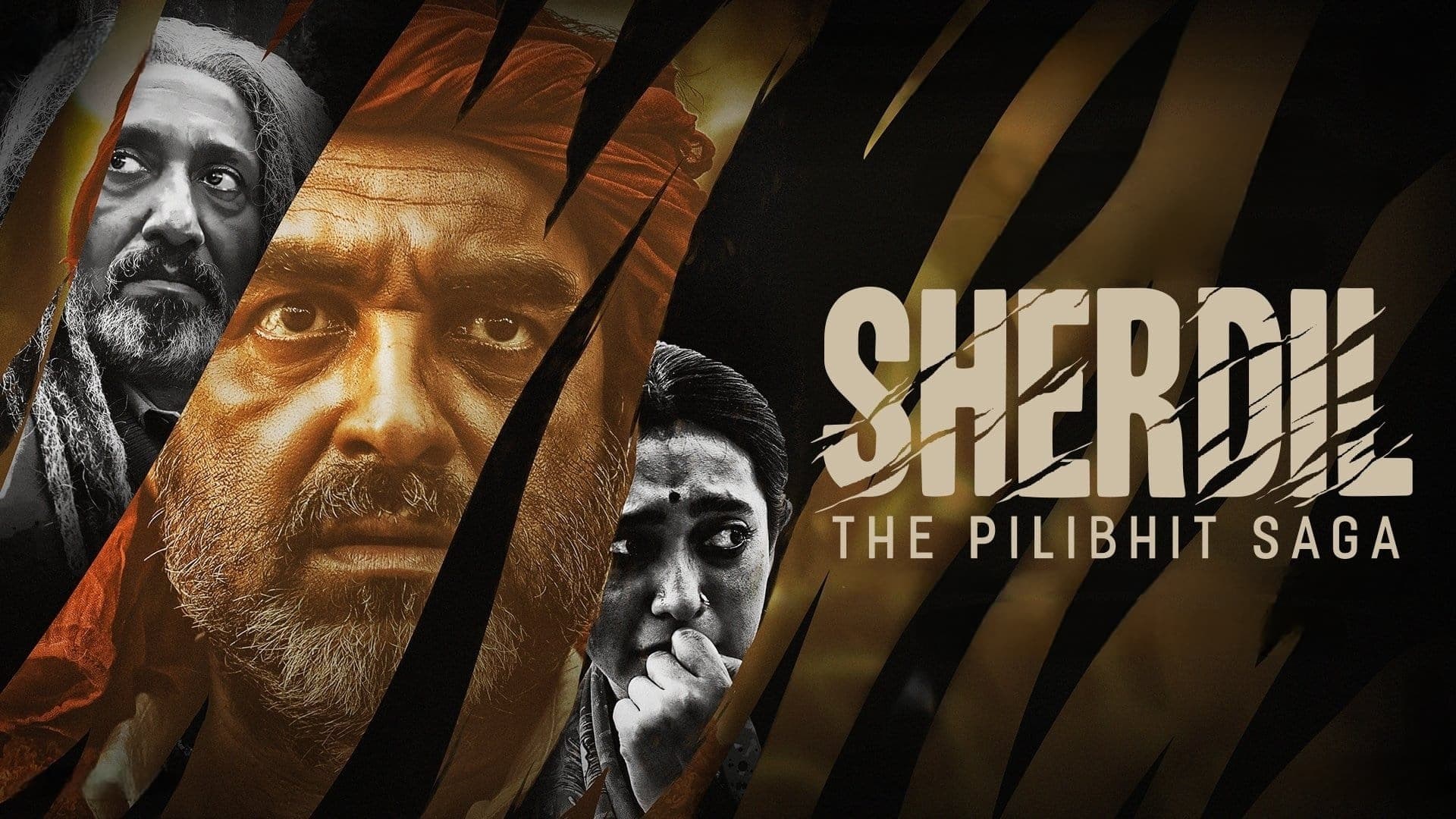 Foto de SHERDIL: THE PILIBHIT SAGA