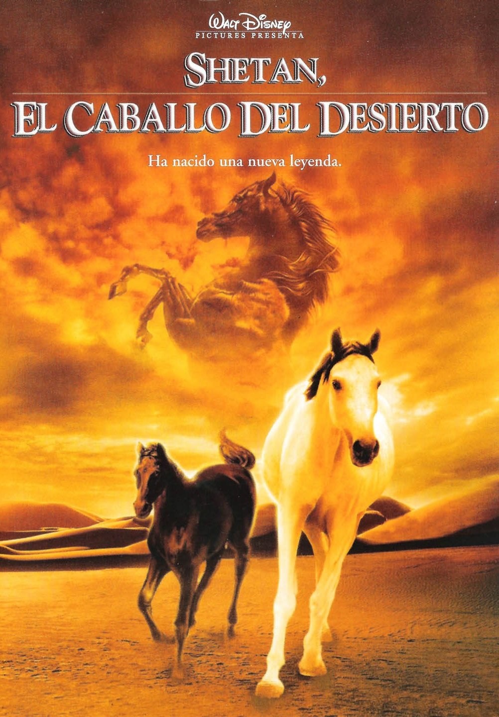 Poster de SHETAN, EL CABALLO DEL DESIERTO en español
