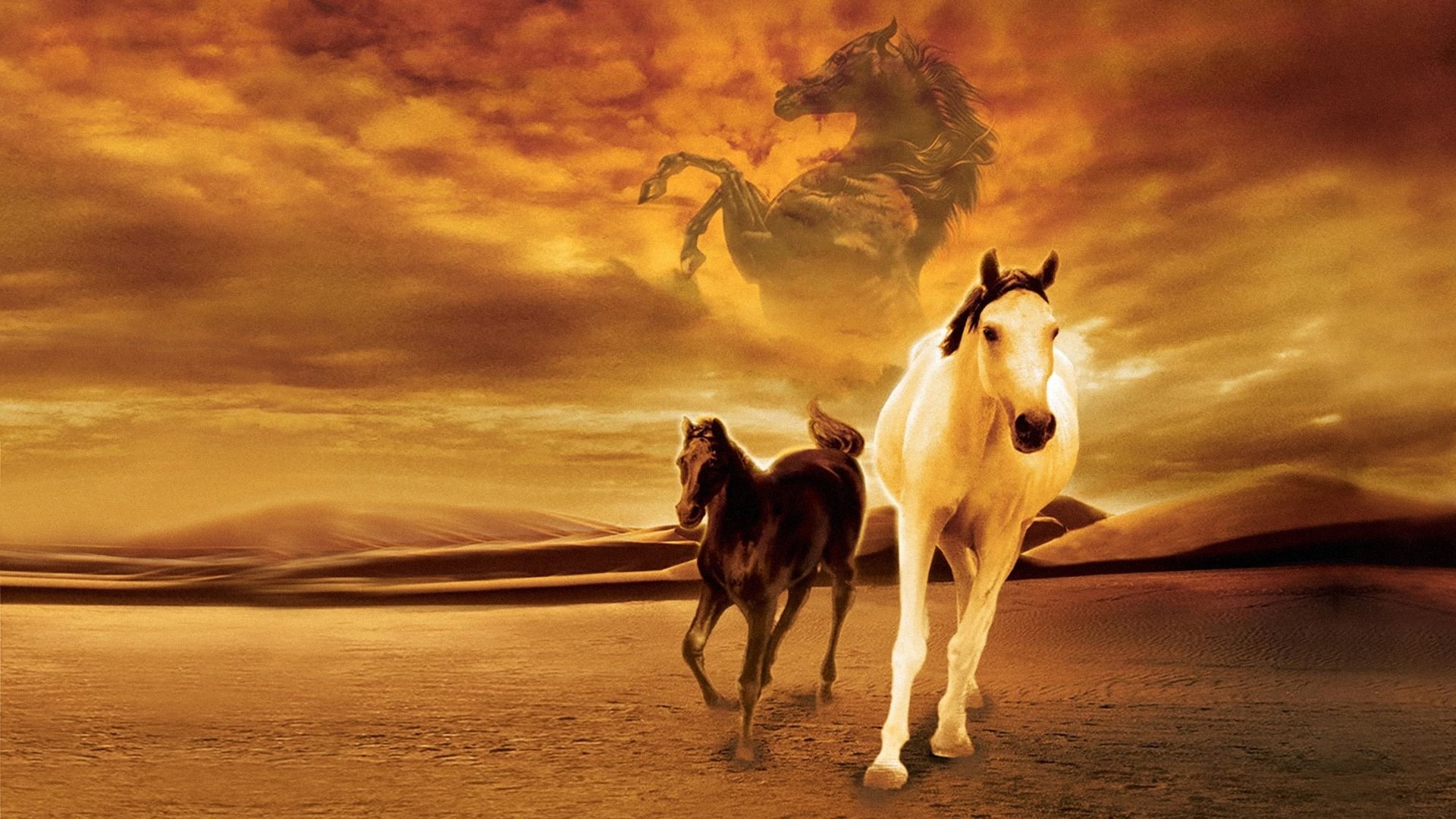 Foto de SHETAN, EL CABALLO DEL DESIERTO