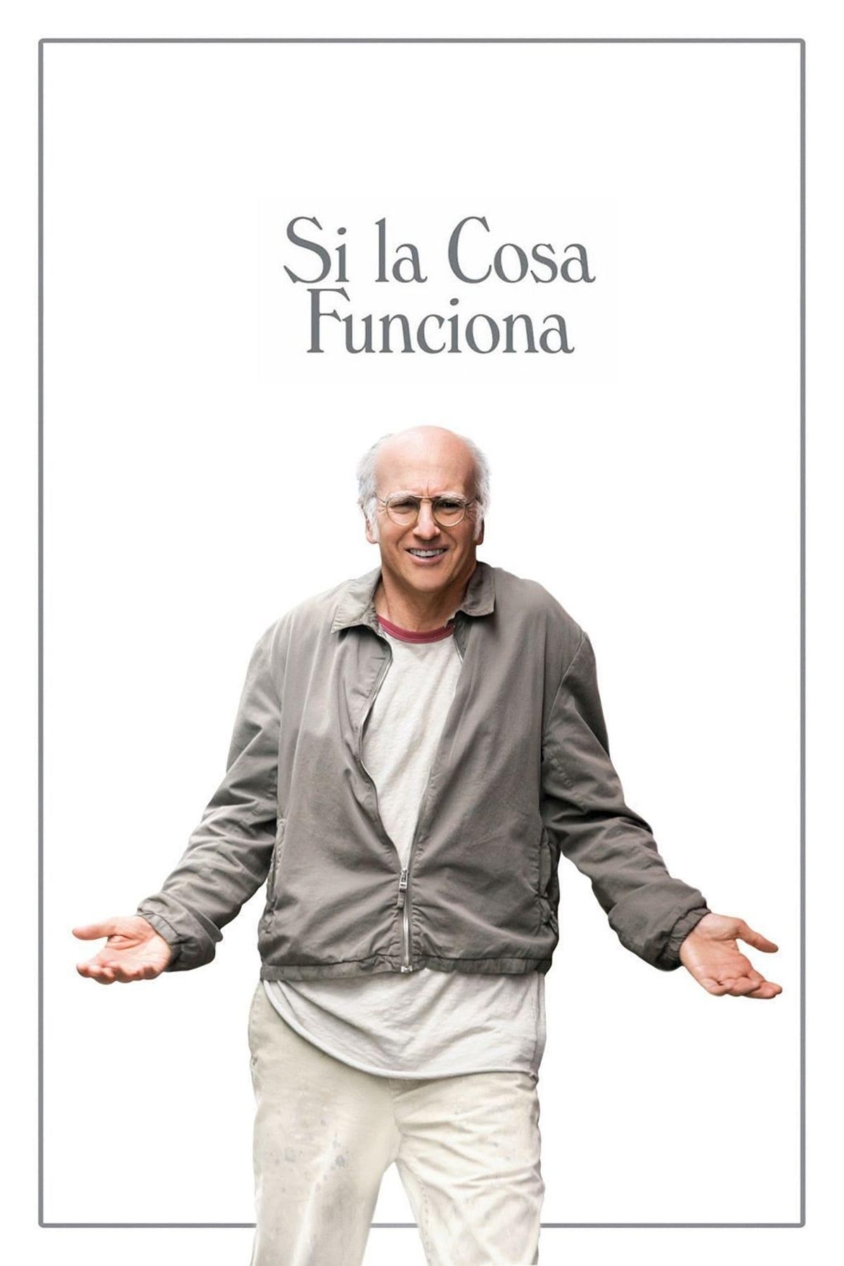Poster de SI LA COSA FUNCIONA en español