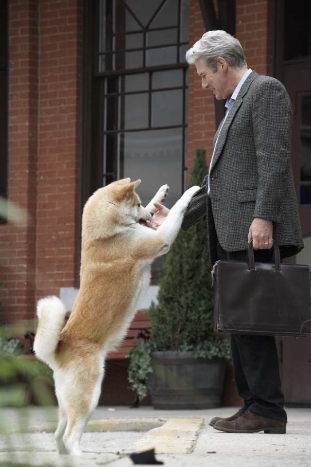 Poster de SIEMPRE A TU LADO (HACHIKO)
