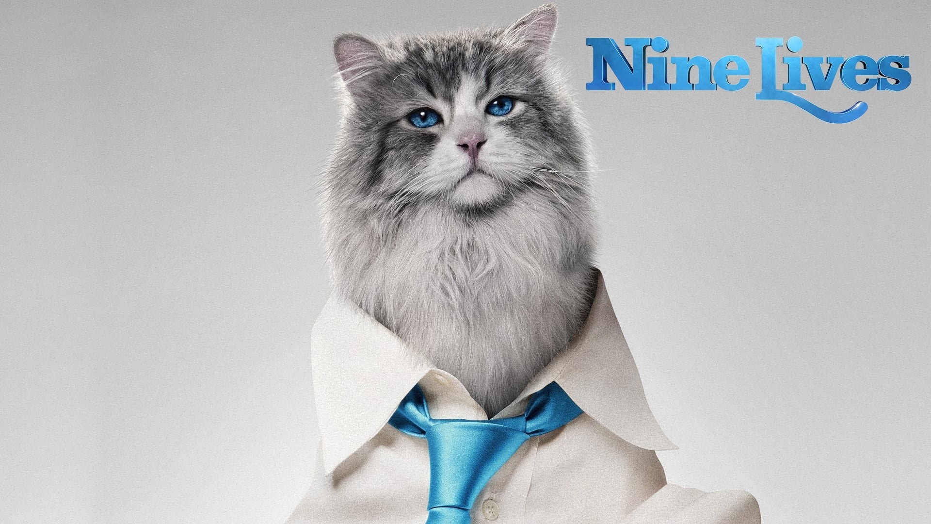 Foto de SIETE VIDAS: ESTE GATO ES UN PELIGRO