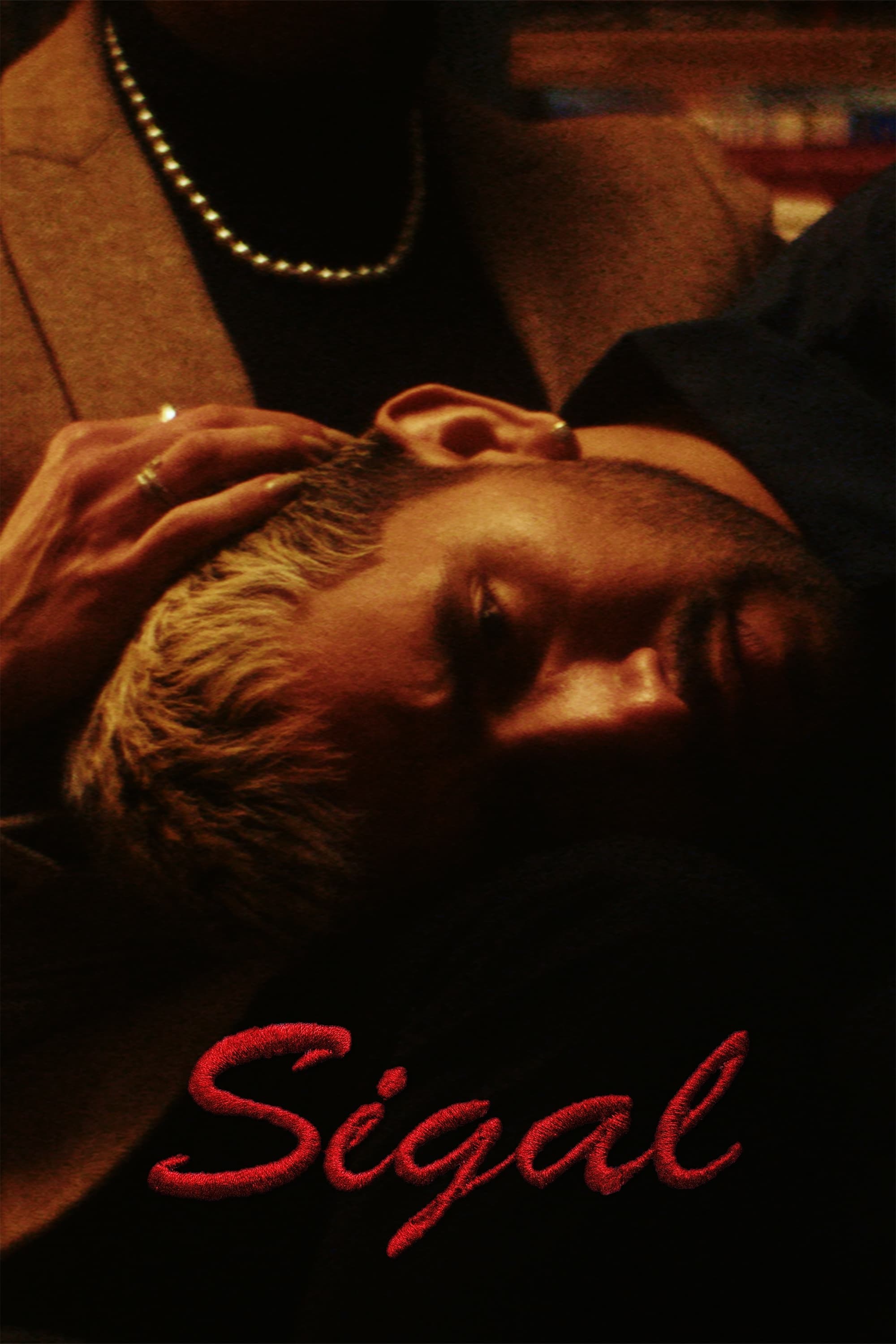 Poster de SIGAL