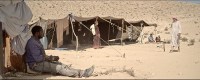 Silence of the Desert