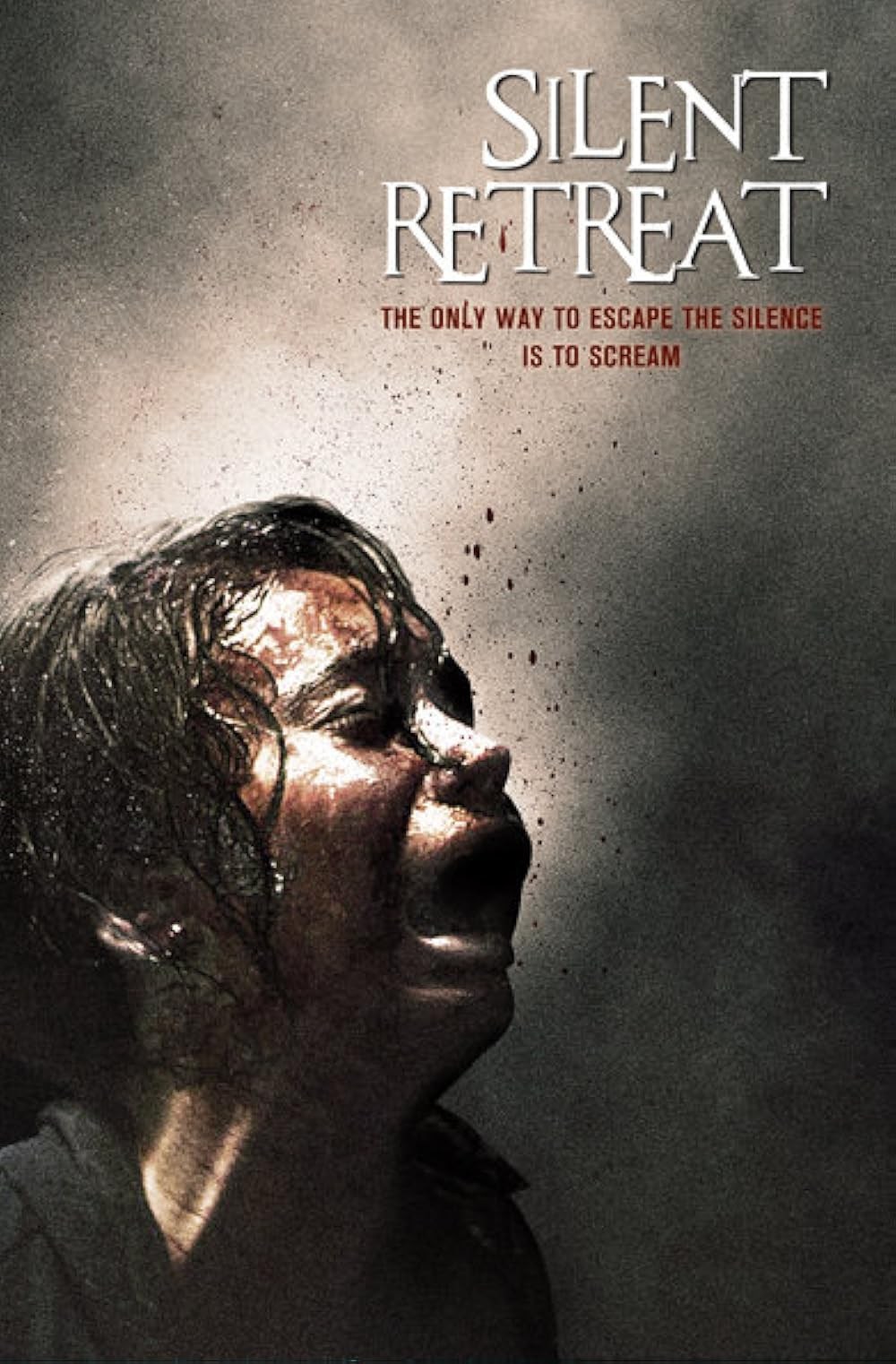 Poster de SILENT RETREAT