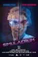 Simulacrum
