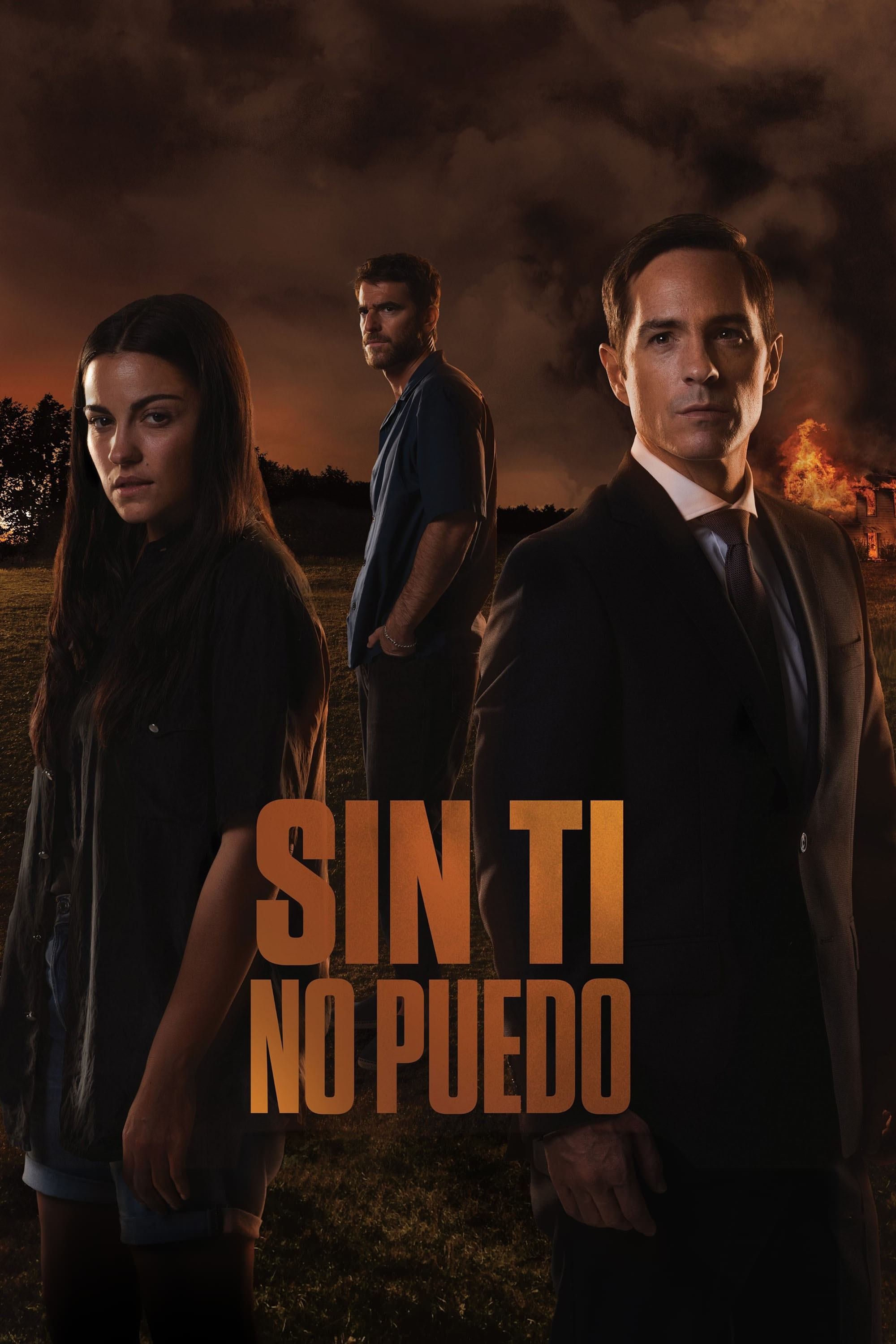 Poster de SIN TI NO PUEDO en español