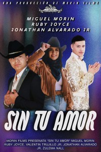 Sin Tu Amor