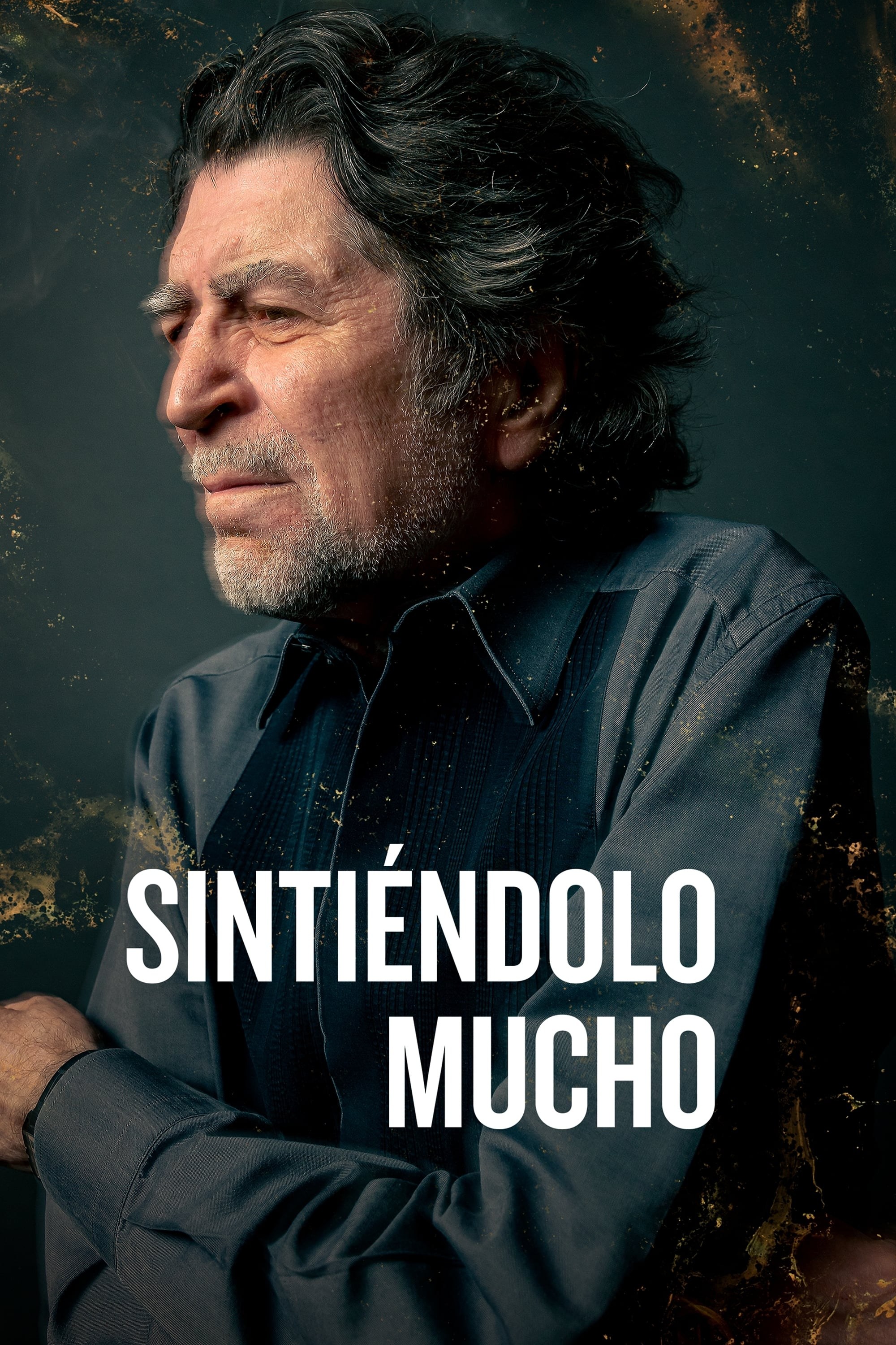 Poster de SINTIÉNDOLO MUCHO en español
