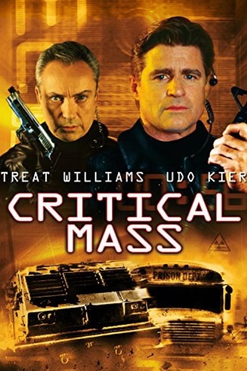 Poster de SITUACIÓN CRÍTICA en inglés