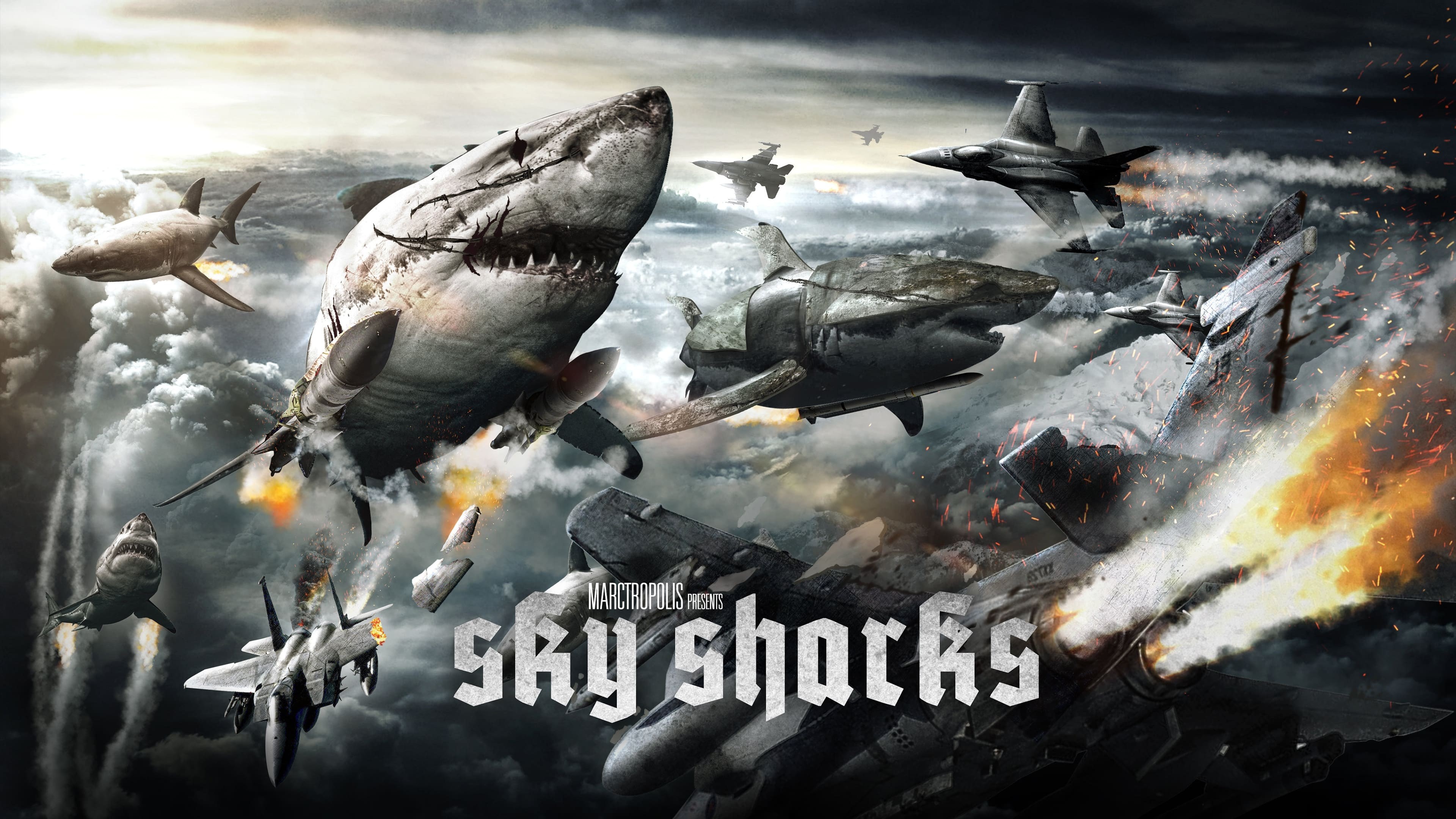 Foto de SKY SHARKS