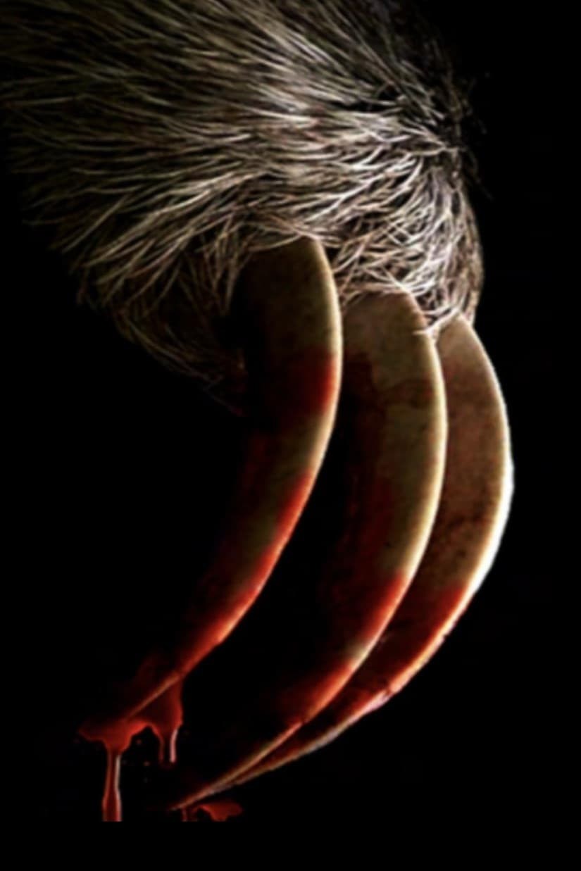 Poster de SLOTHERHOUSE