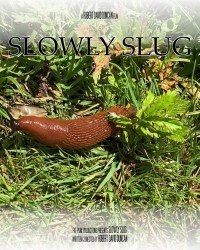 Slowly Slug