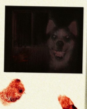 Smile Dog: The Dark Side of Internet