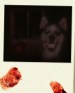 Smile Dog: The Dark Side of Internet