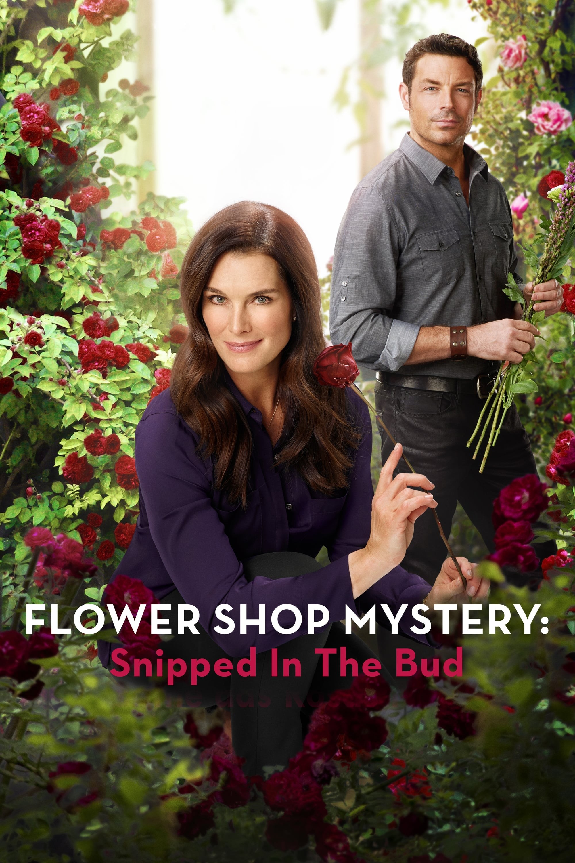 Poster de SNIPPED IN THE BUD en inglés