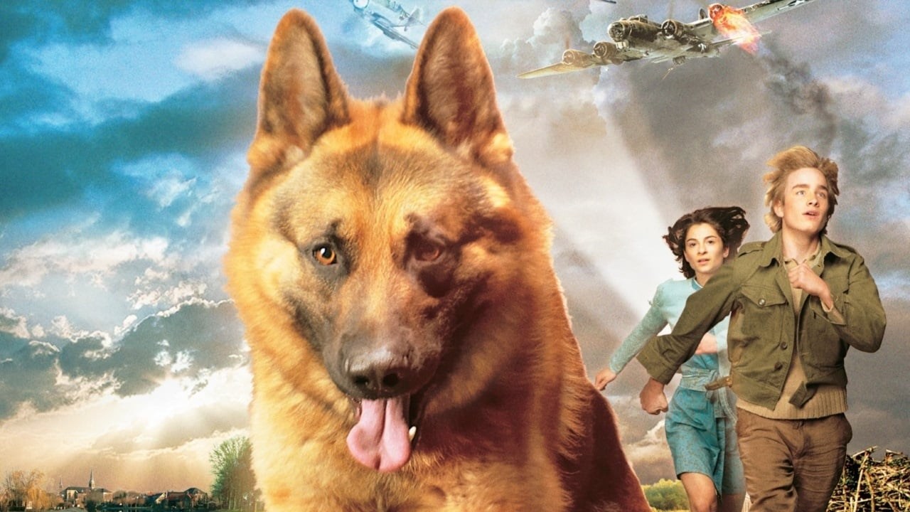 Foto de SNUF DE HOND IN OORLOGSTIJD