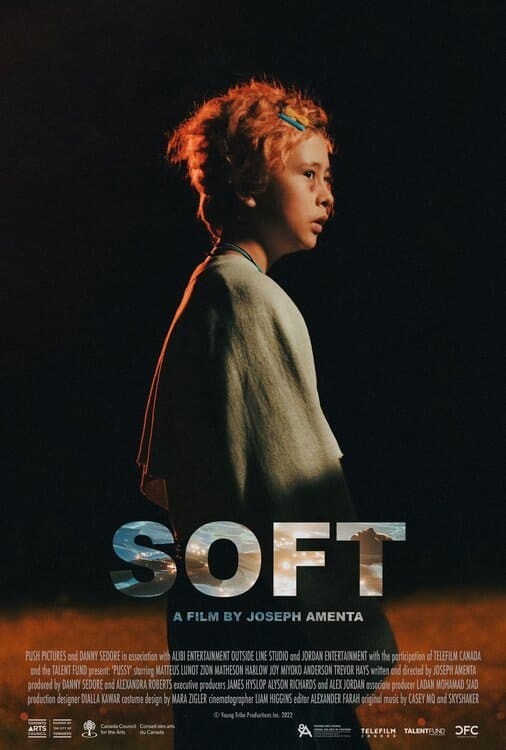 Poster de SOFT