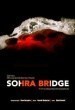 Sohra Bridge (2016)