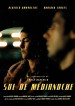 Sol de medianoche