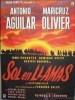 Sol en llamas