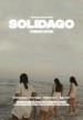 Solidago