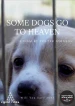 Some Dogs Go to Heaven