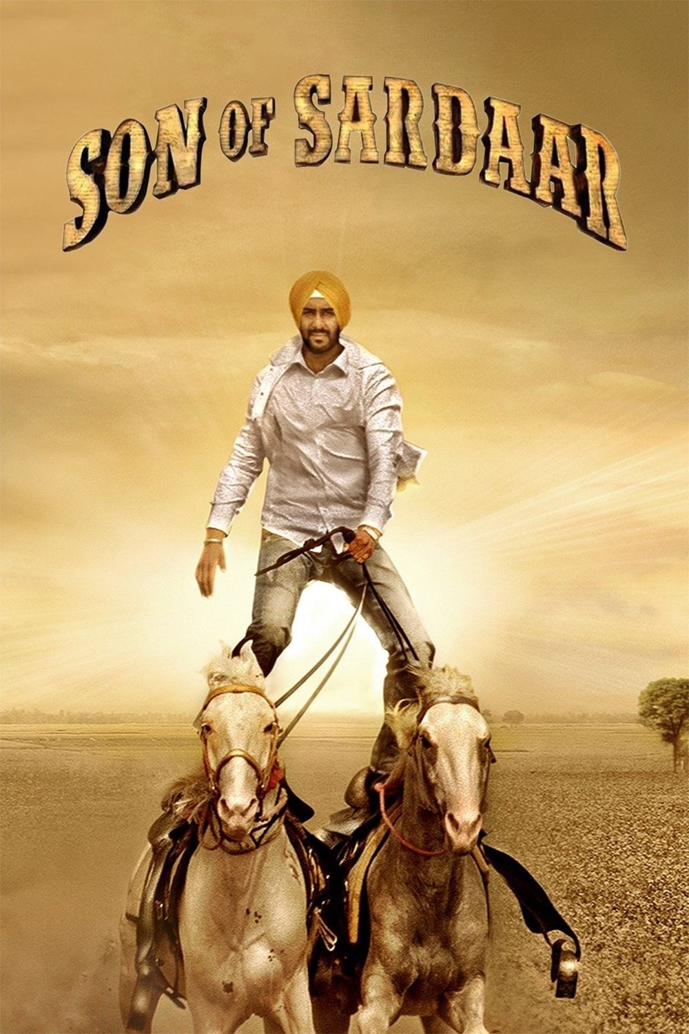 Poster de SON OF SARDAAR en inglés