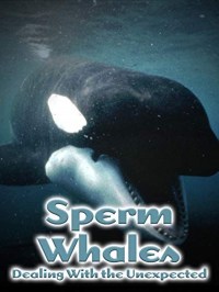 Sperm Whales, Dealing with the Unexpected