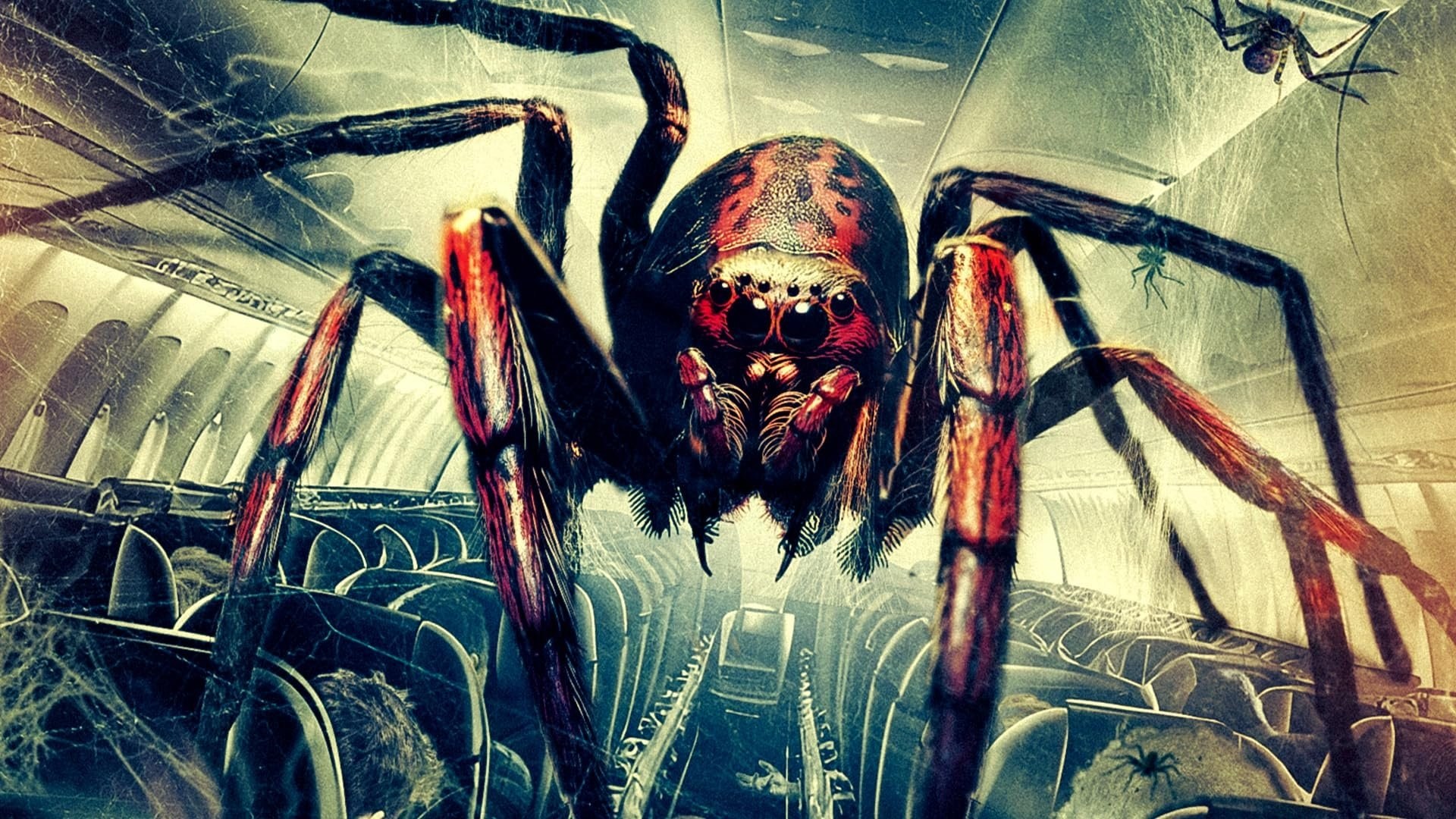 Foto de SPIDERS ON A PLANE